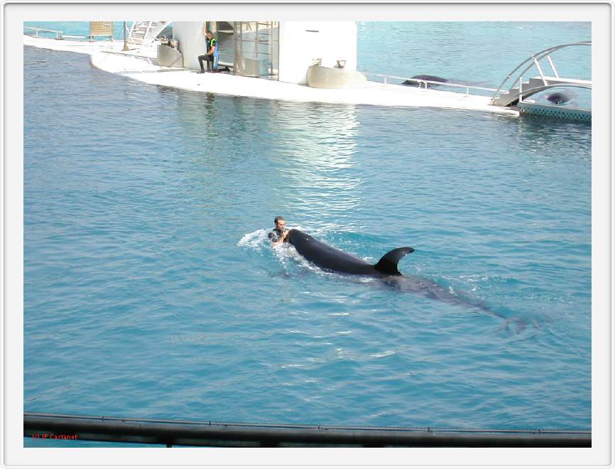 Marineland_042.JPG