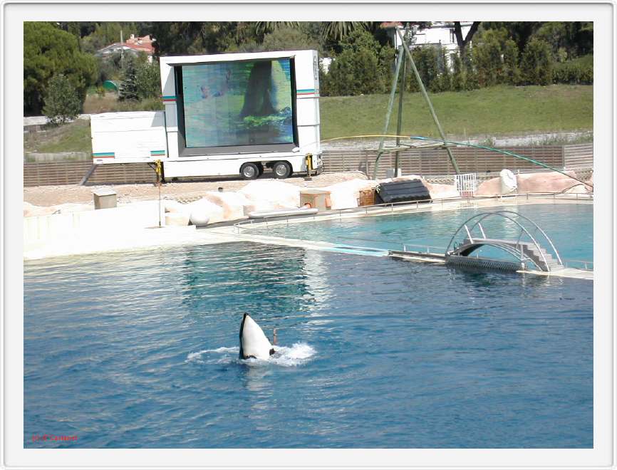 Marineland_043.JPG