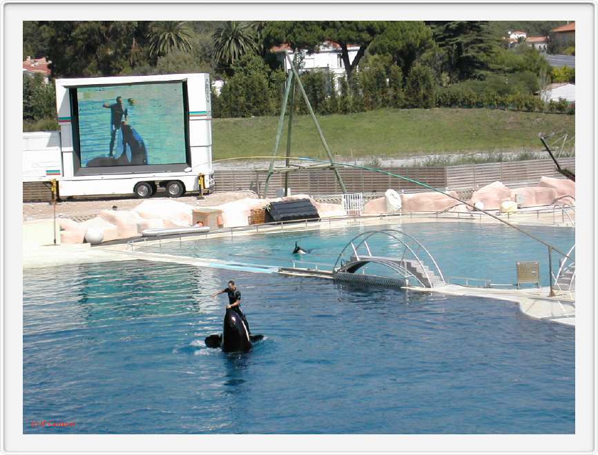 Marineland_044.JPG