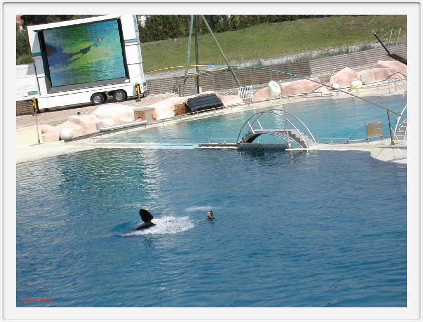 Marineland_046.JPG