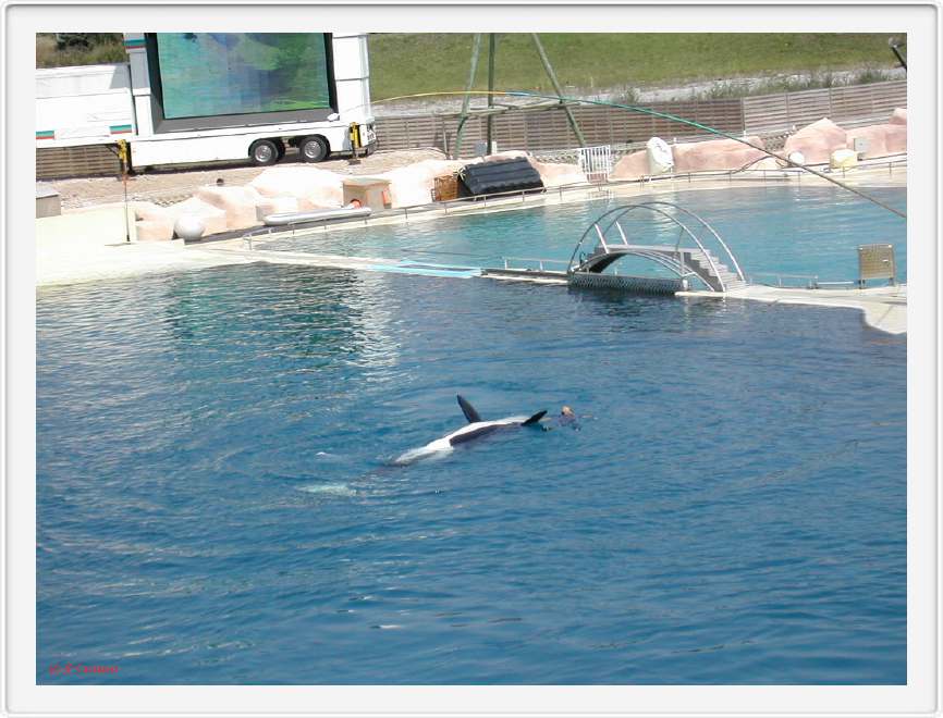Marineland_047.JPG