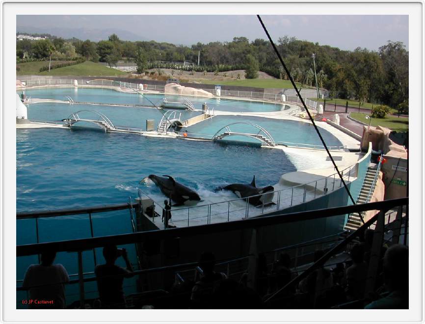 Marineland_048.JPG
