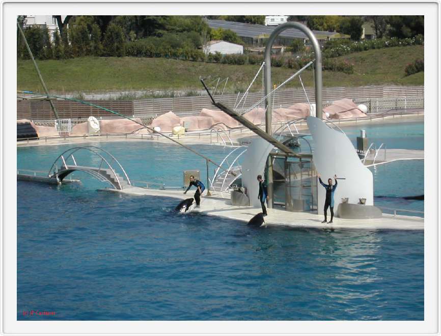 Marineland_051.JPG