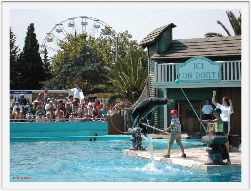 Marineland_065.JPG