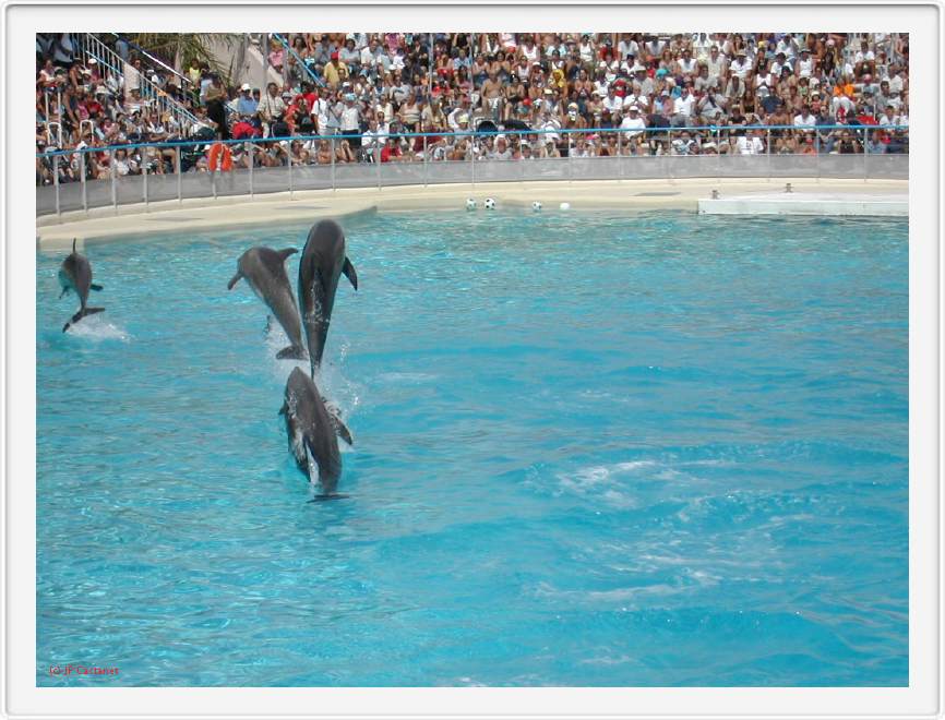 Marineland_126.JPG