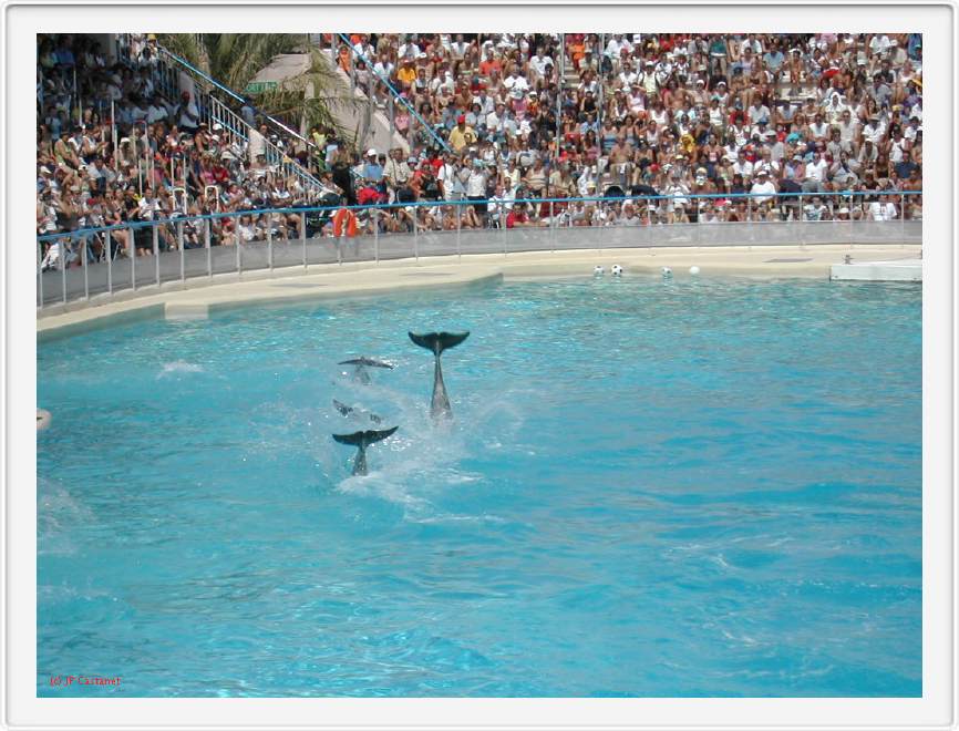 Marineland_127.JPG