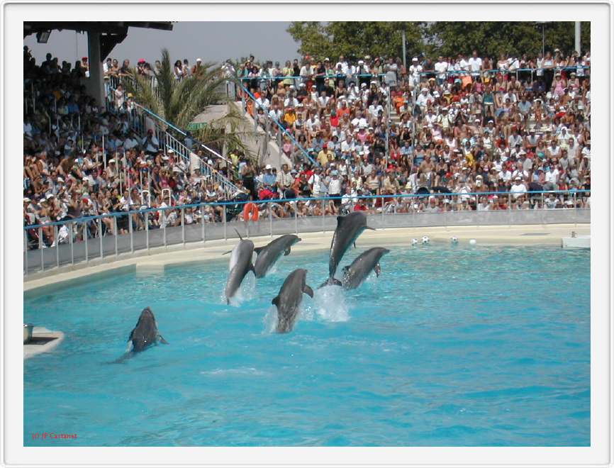 Marineland_129.JPG
