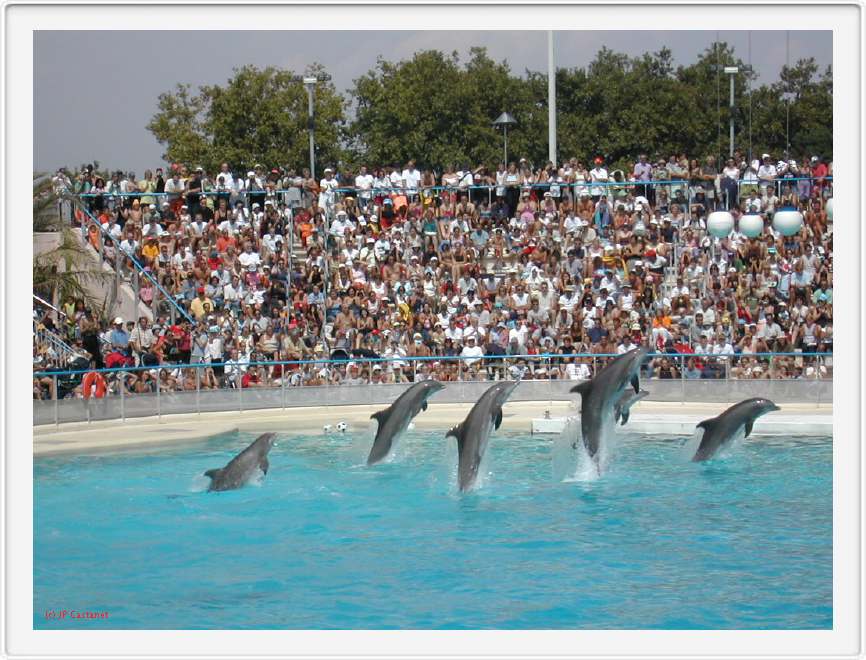 Marineland_132.JPG