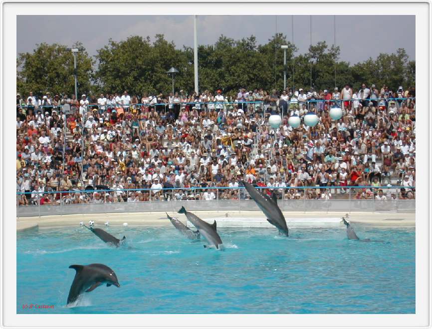 Marineland_133.JPG