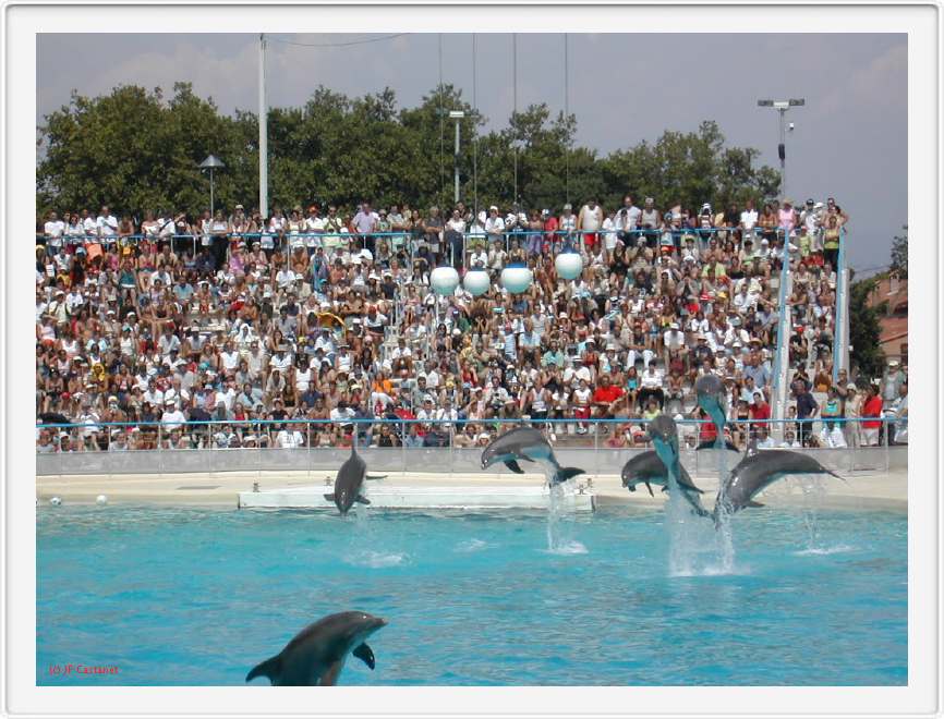 Marineland_136.JPG