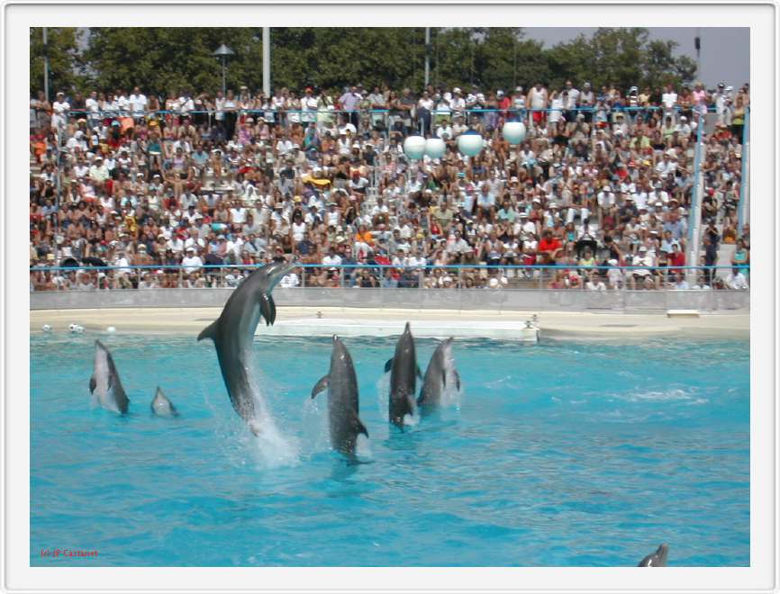 Marineland_139.JPG