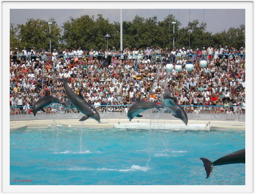 Marineland_140.JPG