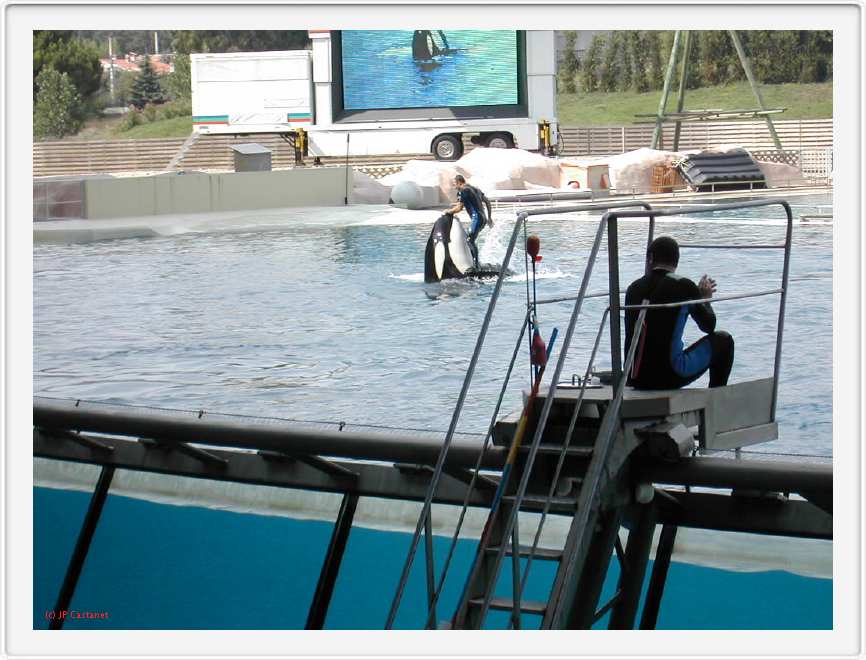 Marineland_176.JPG