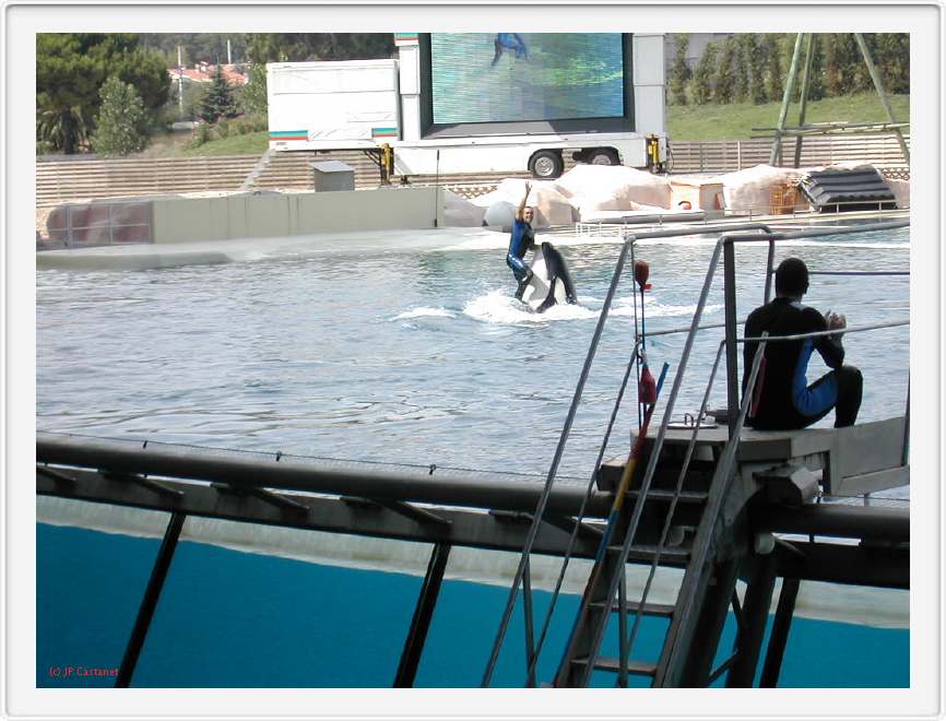 Marineland_177.JPG
