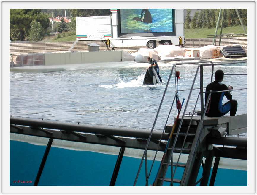 Marineland_178.JPG