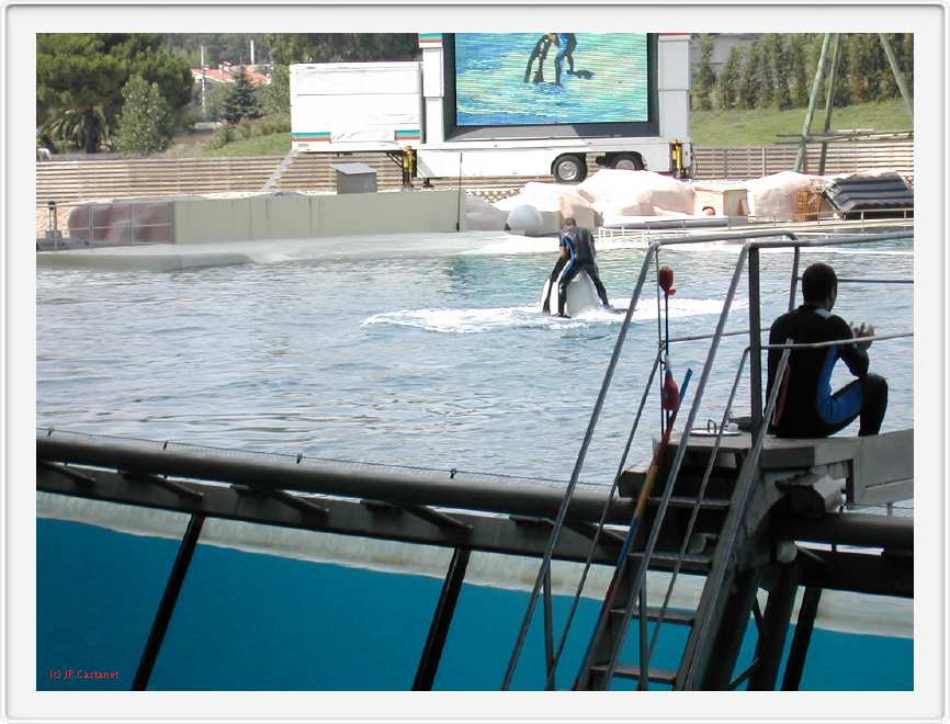Marineland_179.JPG