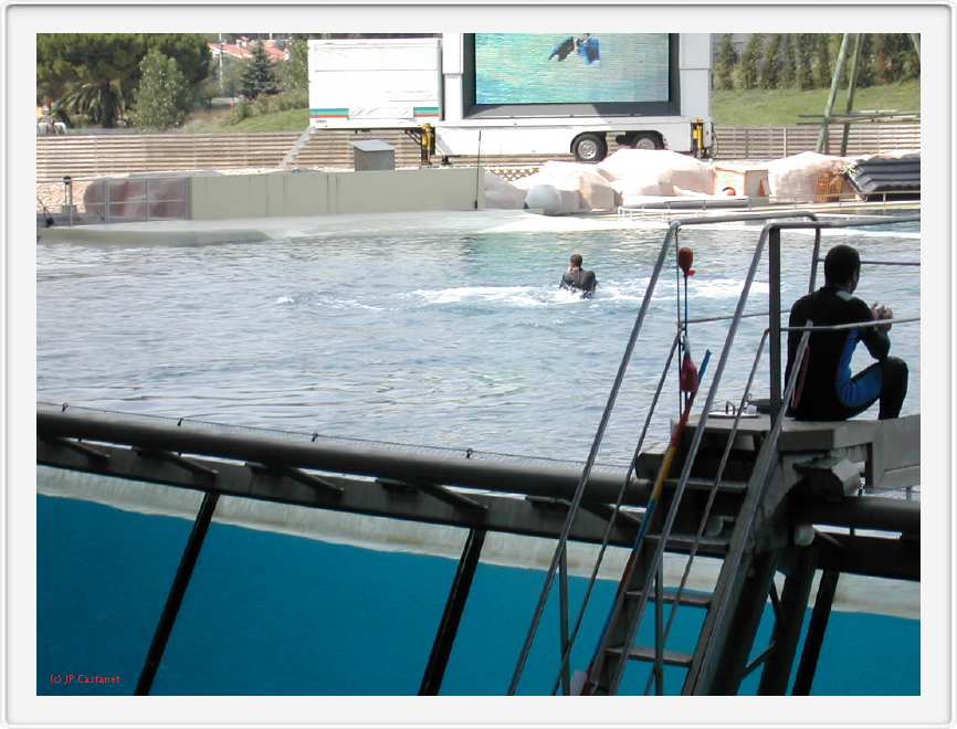 Marineland_180.JPG