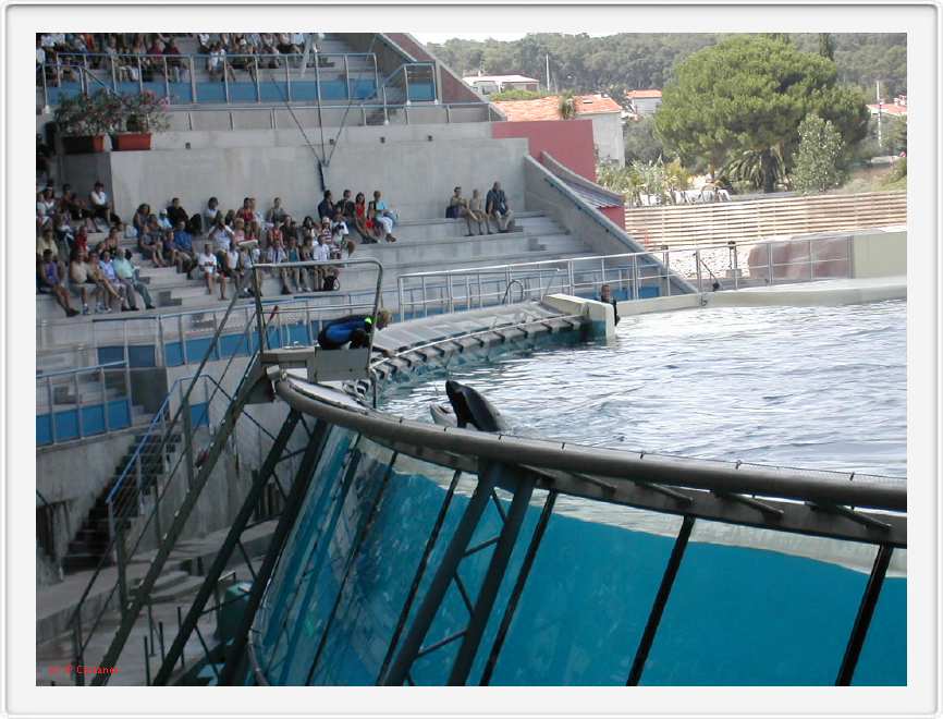 Marineland_181.JPG
