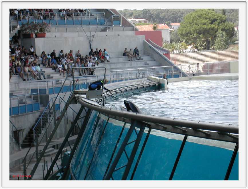 Marineland_182.JPG