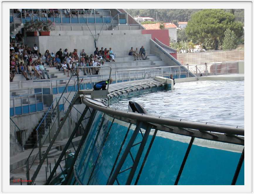Marineland_183.JPG