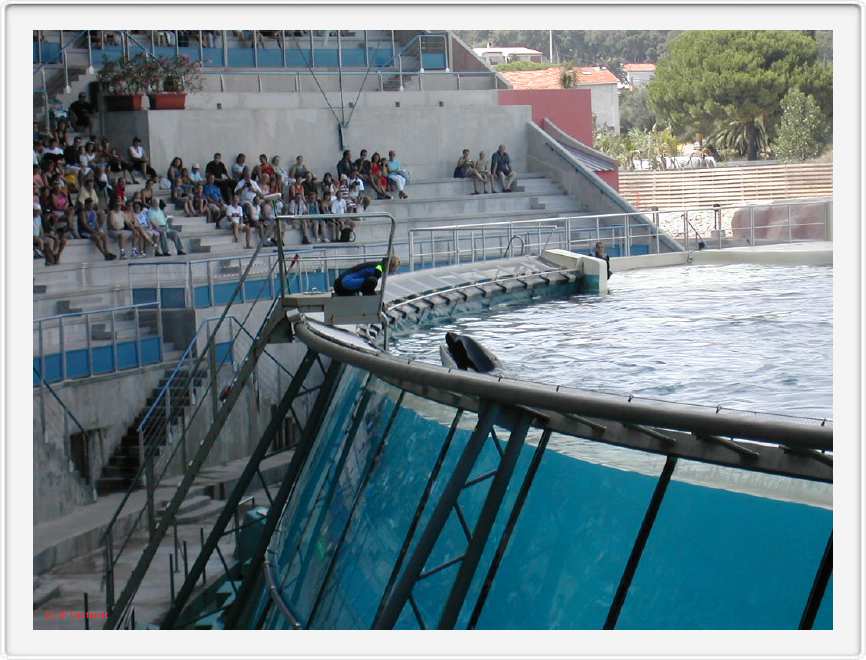 Marineland_184.JPG