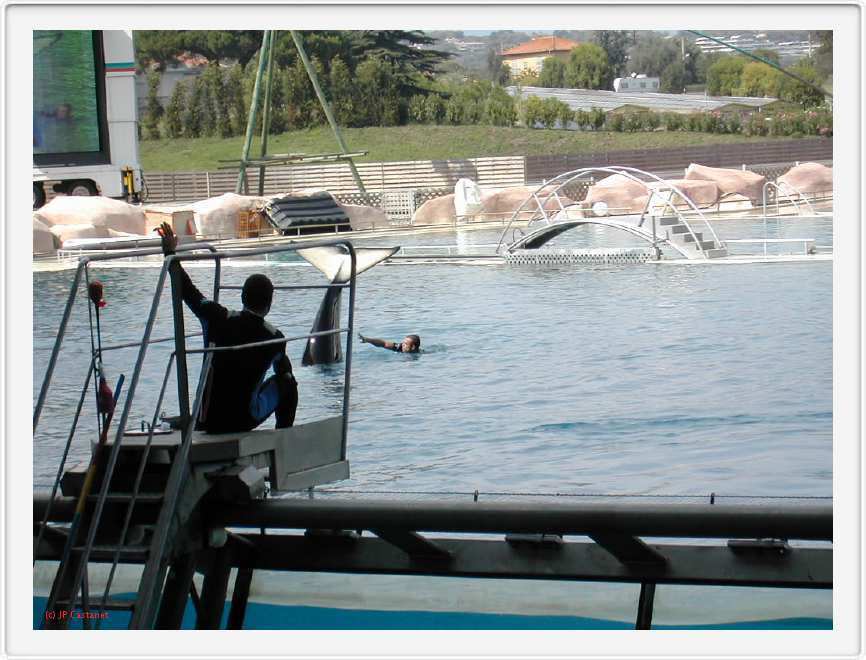 Marineland_185.JPG