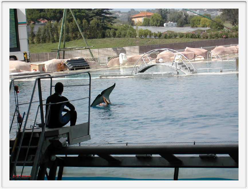 Marineland_186.JPG