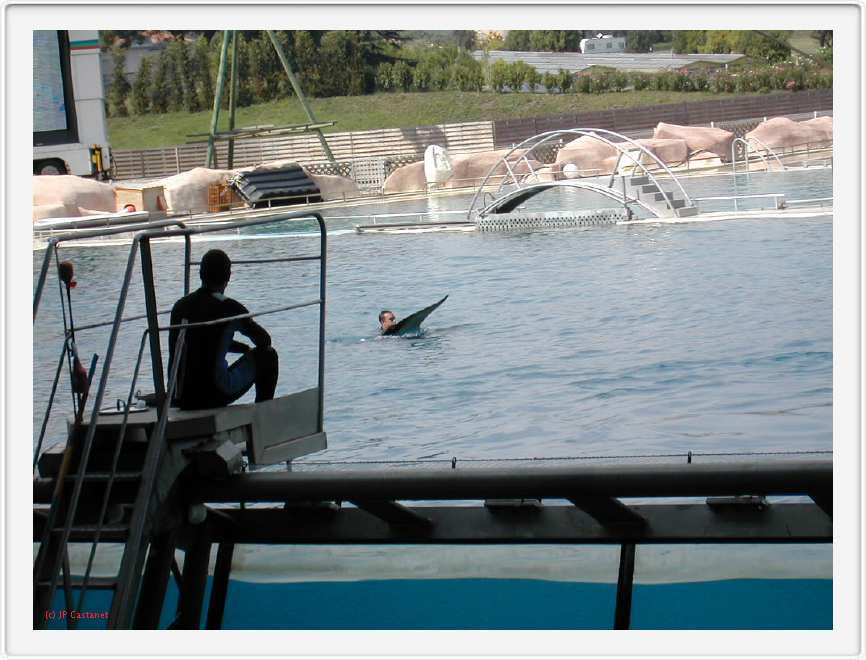 Marineland_187.JPG