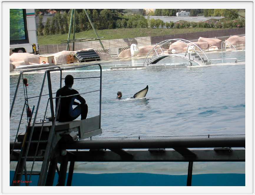 Marineland_188.JPG