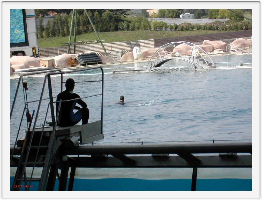 Marineland_189.JPG