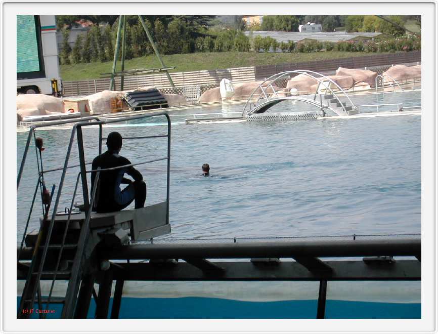 Marineland_190.JPG