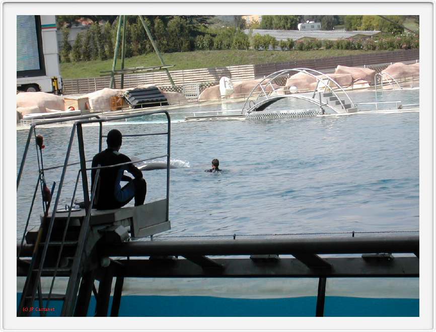 Marineland_191.JPG