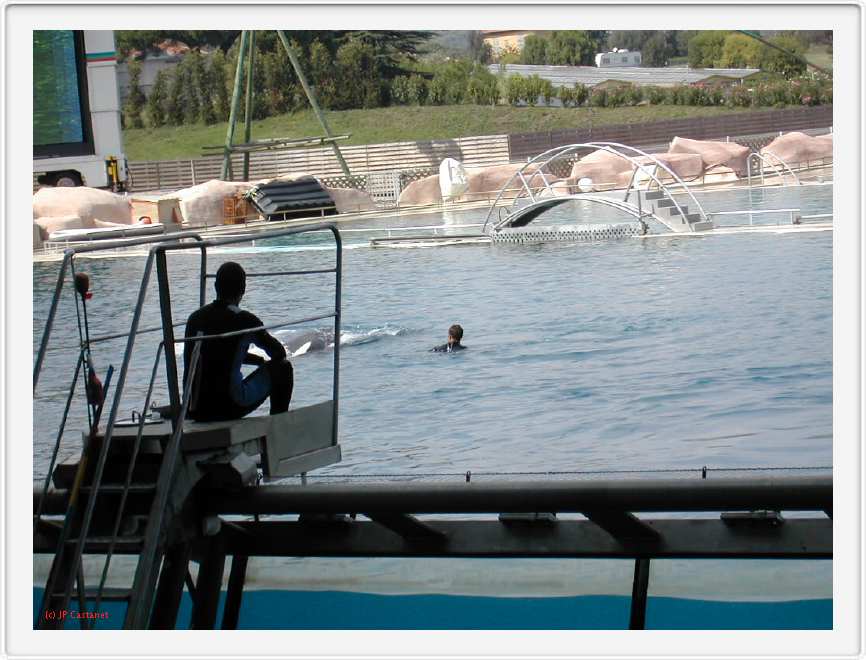 Marineland_192.JPG