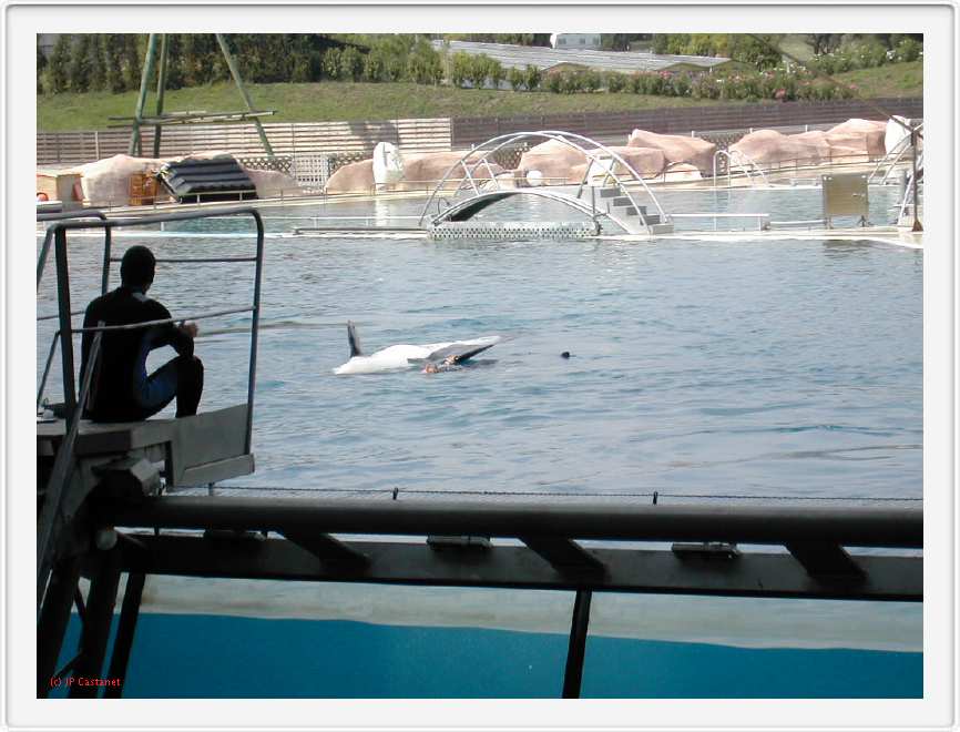 Marineland_193.JPG