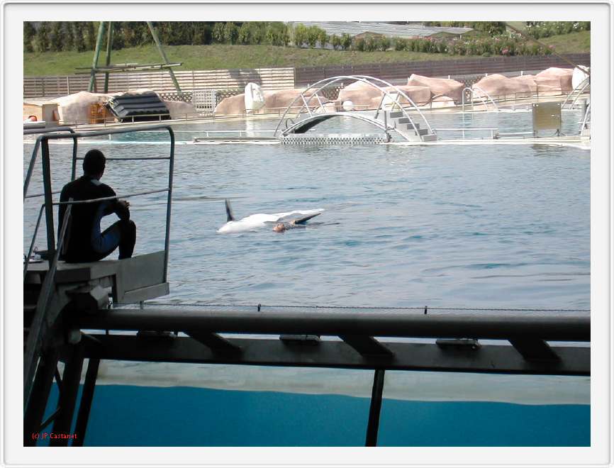 Marineland_194.JPG