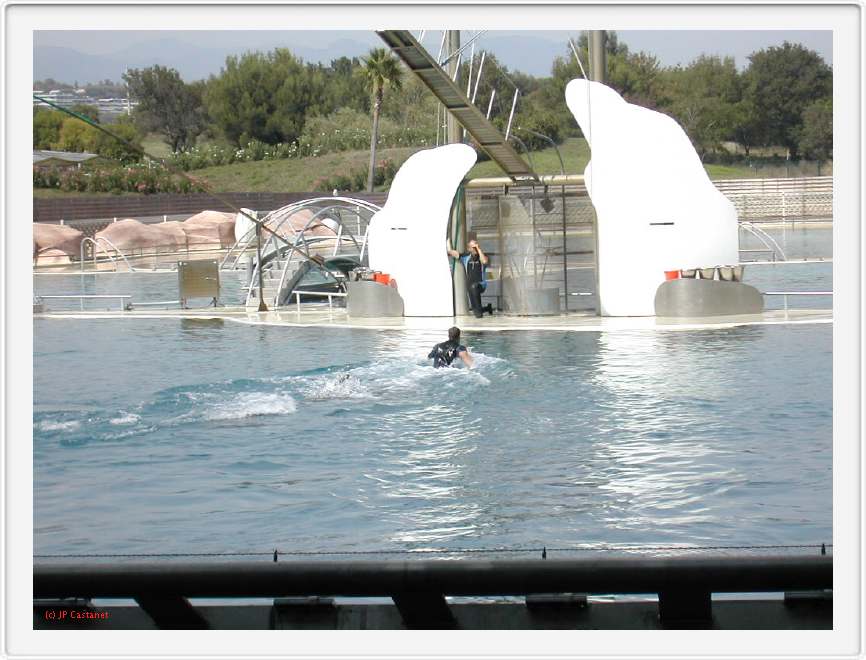 Marineland_195.JPG