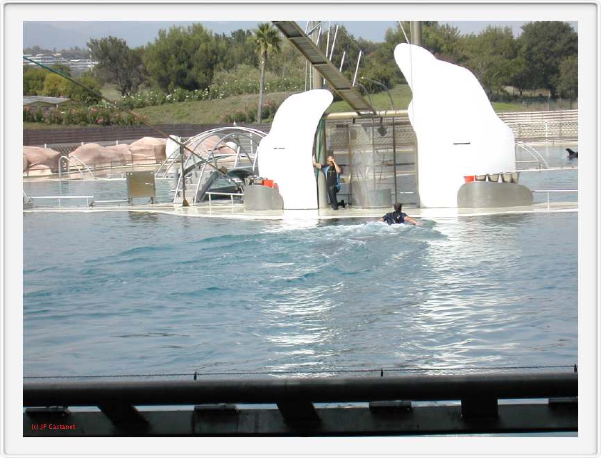 Marineland_197.JPG
