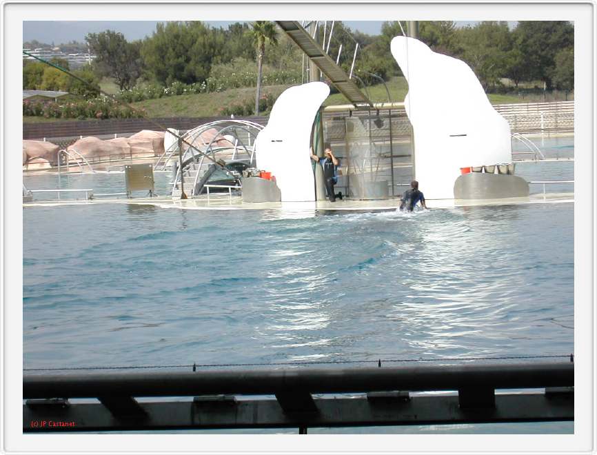 Marineland_198.JPG