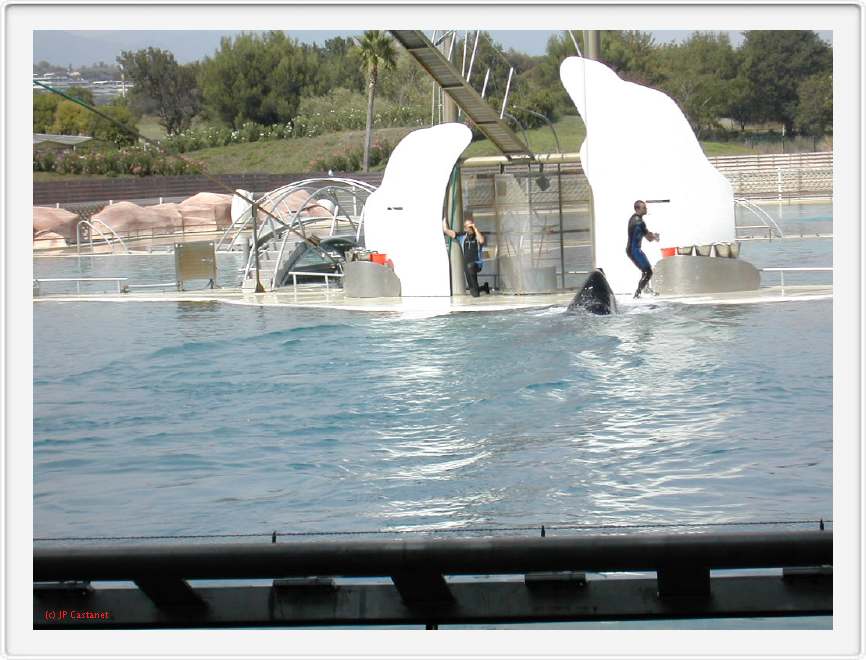 Marineland_199.JPG