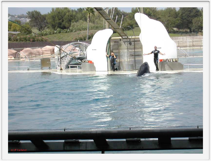 Marineland_200.JPG