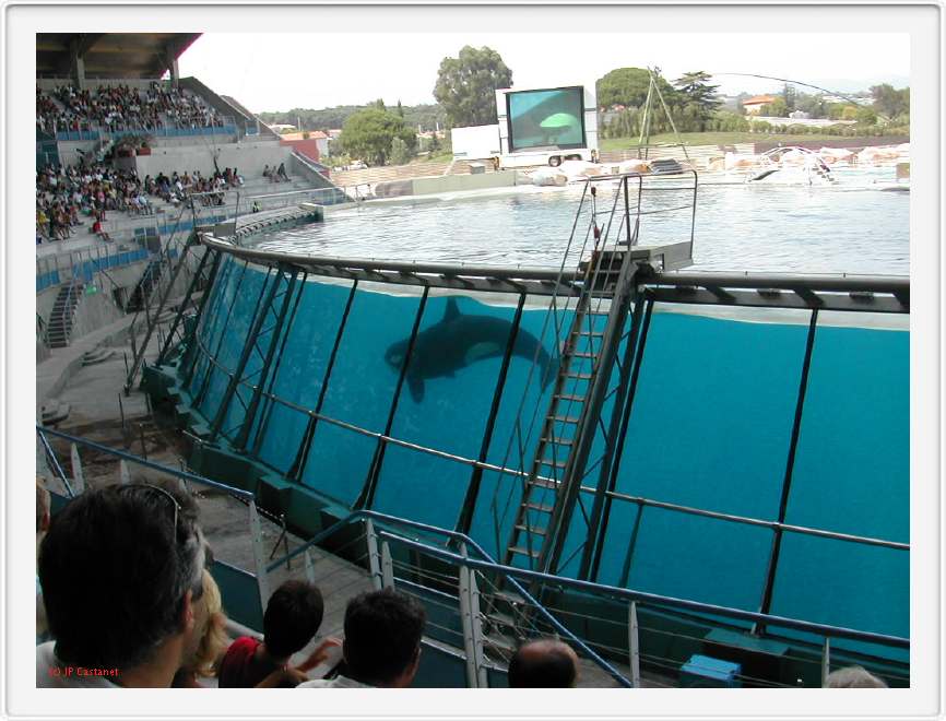 Marineland_201.JPG