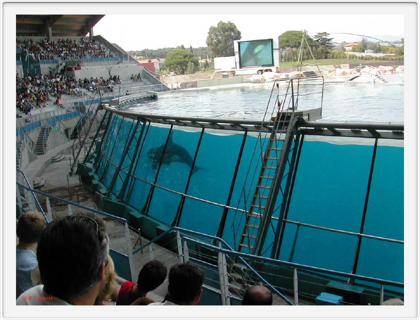 Marineland_202.JPG