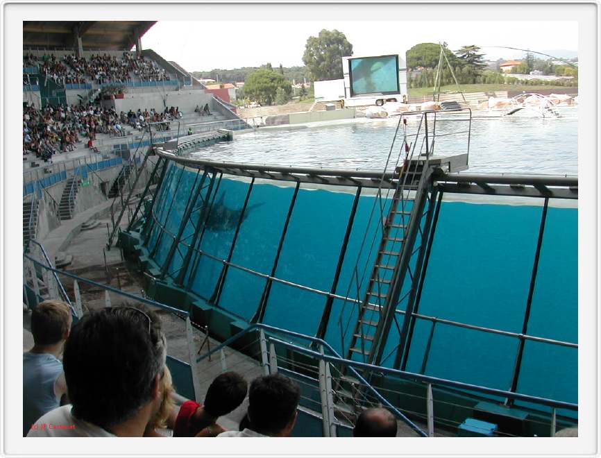 Marineland_203.JPG