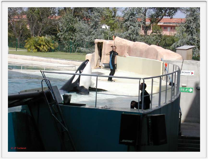 Marineland_204.JPG