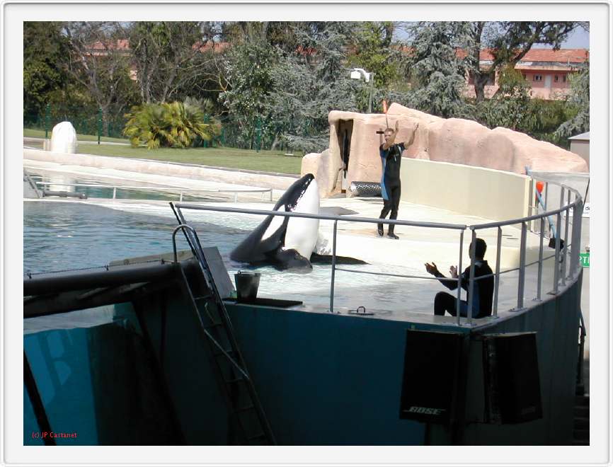 Marineland_205.JPG