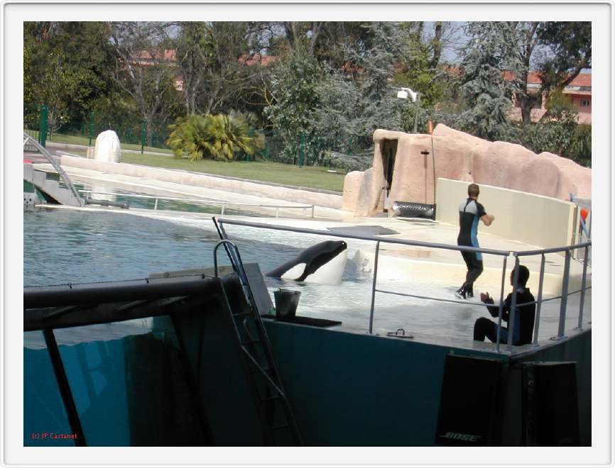 Marineland_206.JPG