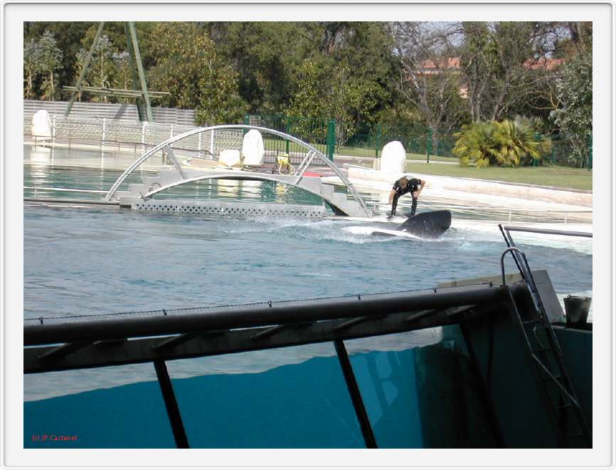 Marineland_207.JPG