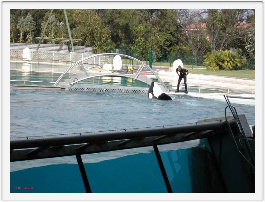 Marineland_208.JPG