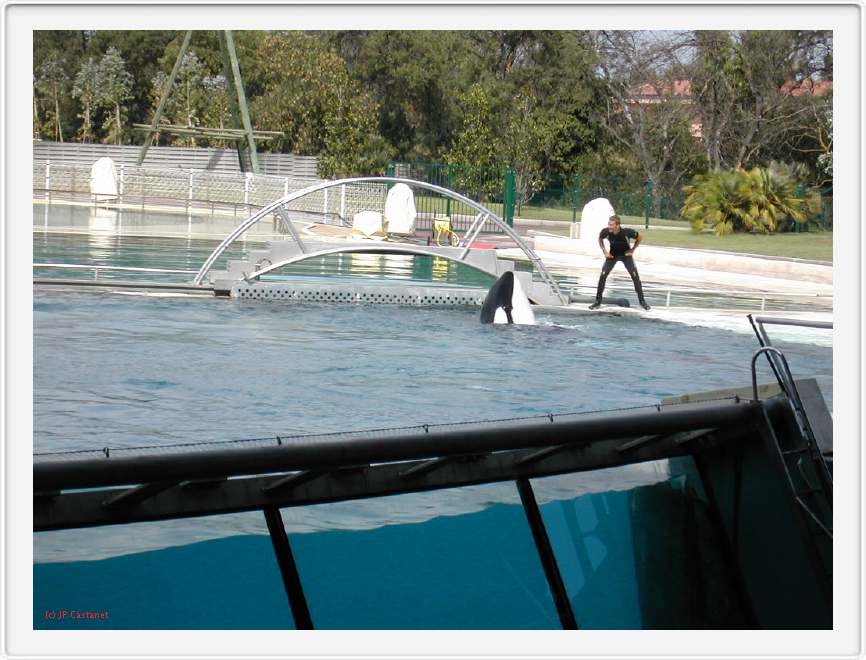 Marineland_209.JPG