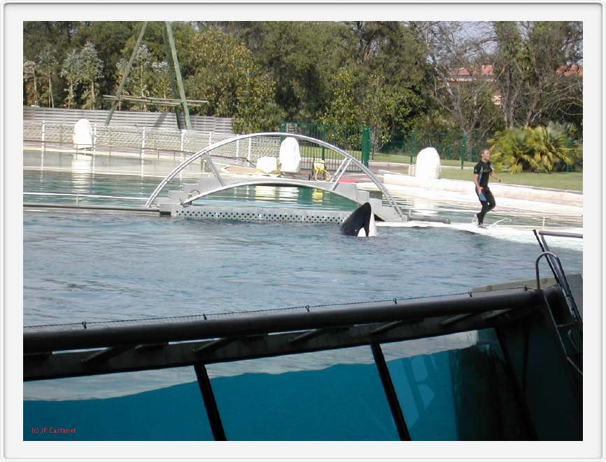Marineland_210.JPG